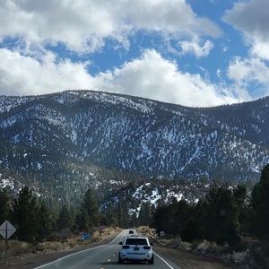 Meet your Posher, Luis